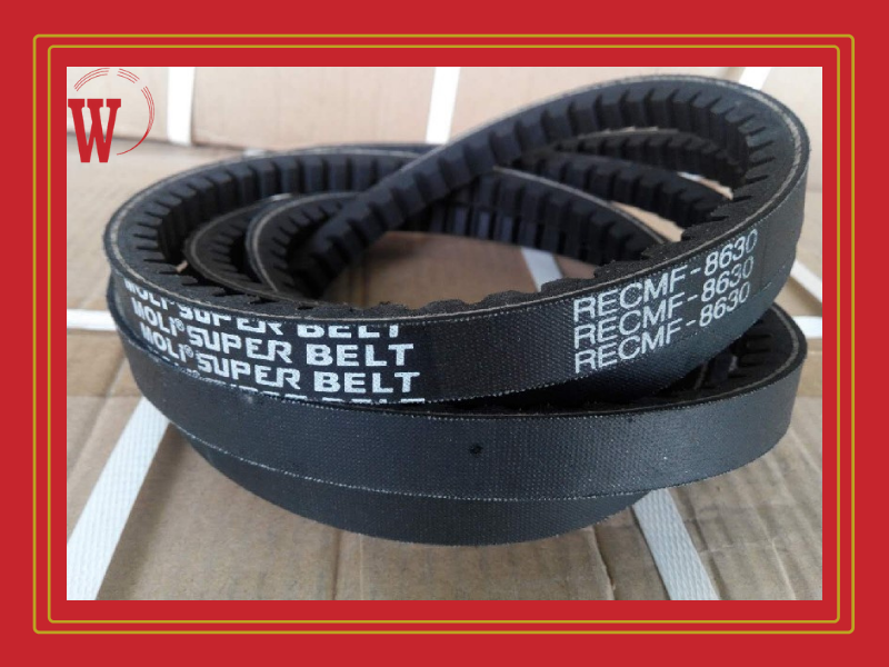 Địa chỉ mua dây curoa uy tín Địa chỉ mua dây curoa uy tín